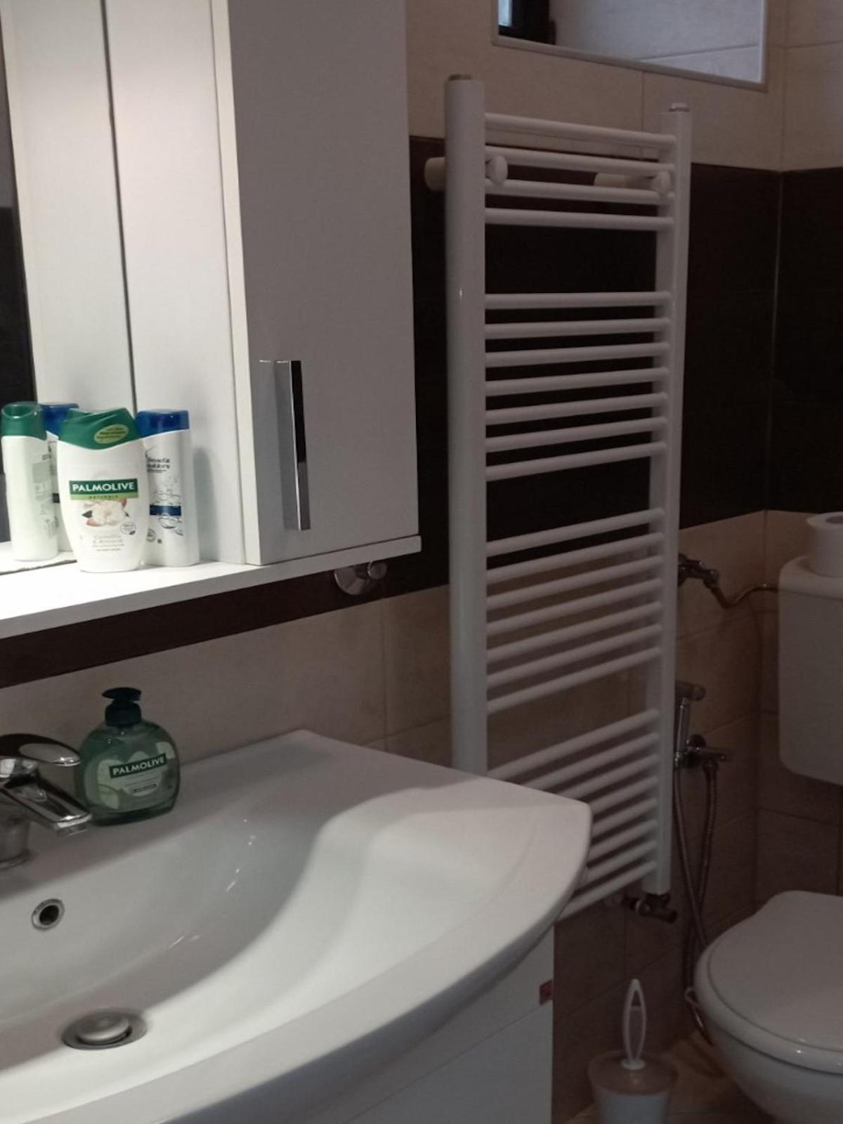 Hansa Apartment ซาราเยโว ภายนอก รูปภาพ